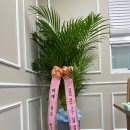 은영이친구식당 이미지