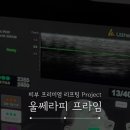 파르크도산의원 네이버블로그