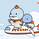 The BBs JEJU 이미지