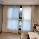 라온캣독 호텔 대구점 | 대구 시지라온프라이빗 커튼 : 허니콤과 프리미엄 차르르 속지로 완성한 수제 맞춤 핏