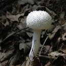 원주평마을회관 이미지