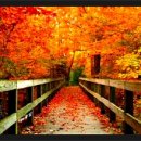 장수전력 이미지