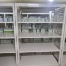 삼일분체