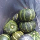 표선오일시장 이미지