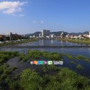 정남진장흥 물축제 홍보 여행블로거기자단 팸투어 탐진강 정남진전망대 보림사 전남 장흥여행 이미지