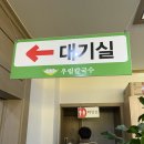 우림집 | 청주 오송 칼국수집 우림칼국수 오송본점 내돈내산 후기