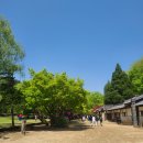 단종역사관 | [강원영월] 일주일살기여행 Day4_장릉&amp;단종역사관&amp;낮도깨비공연 세계유산 조선왕릉 영월가볼만한곳