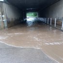 알미산로 이미지