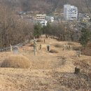 정정공 강사상 묘역 이미지