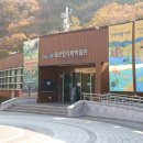 전국야생화전시회 | 노잼?NO 대유잼! 울산 가볼만한곳 BEST 8