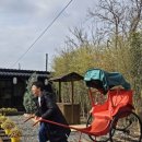 서라온5 이미지