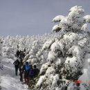 한라산특산품