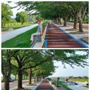 양양 남대천 파크골프장 자랑 이미지