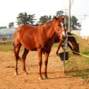 신태인목장 이미지