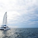 조천중학교 이미지