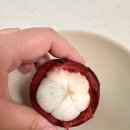 인생 열대과일 시골청년 생망고스틴 택배배송 후기