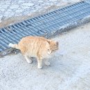 꿈에그린펜션A 이미지