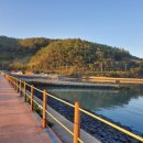 오마이 황토 가족펜션 이미지