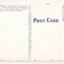 Natural Box | 1950 - New Charity Hospital, New Orleans, LA (Kropp, New Orleans)