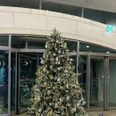 한화세탁 | [부산 해운대 숙소 추천] 한화 리조트 - 광안리 근처 숙소, 오션뷰 후기