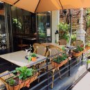 1978Terrace