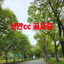 신안골프 | “4월 골프 여기로 끝! 신안CC 부부 라운드 현실 후기 (공사중 분위기 솔직 리뷰)”