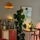 식물 인테리어 이미지