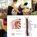 메디시스템 이미지