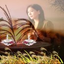 김희갑악단 이미지