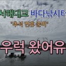 서해대교바다낚시터 Daum카페