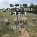 이문목장 이미지