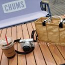 with dog(위드독) 이미지