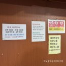 용인 수지 맛집 감치래 비빔국수 왕돈까스 가성비 조합 후기