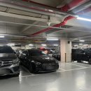 삼성생명 앞 노상 이미지