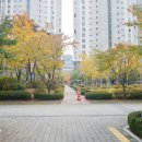 평촌더샵센트럴시티 이미지