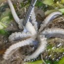 해마루민박 이미지