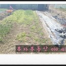 화심농장 이미지