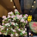 너릿재묵은지 이미지