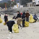 청정바다 이미지