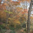 유달산 미륵불 암각 이미지