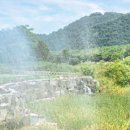 태화강국가정원 이미지