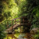 『내 집을 짓지 말라』-진헌성 이미지