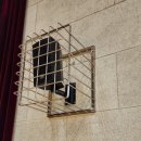 증평실내체육관 이미지