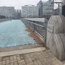 황새울교 앞 이미지