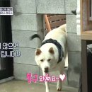 봉구하우스 이미지