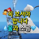 꼭 보셔야 합니다 물과 소금 이미지