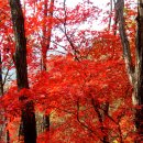 명성산 등산로 이미지