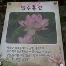 함안(순천) 이미지