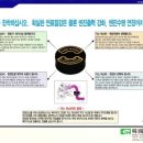 마스타카센타 이미지