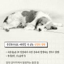 디아나동물병원 이미지